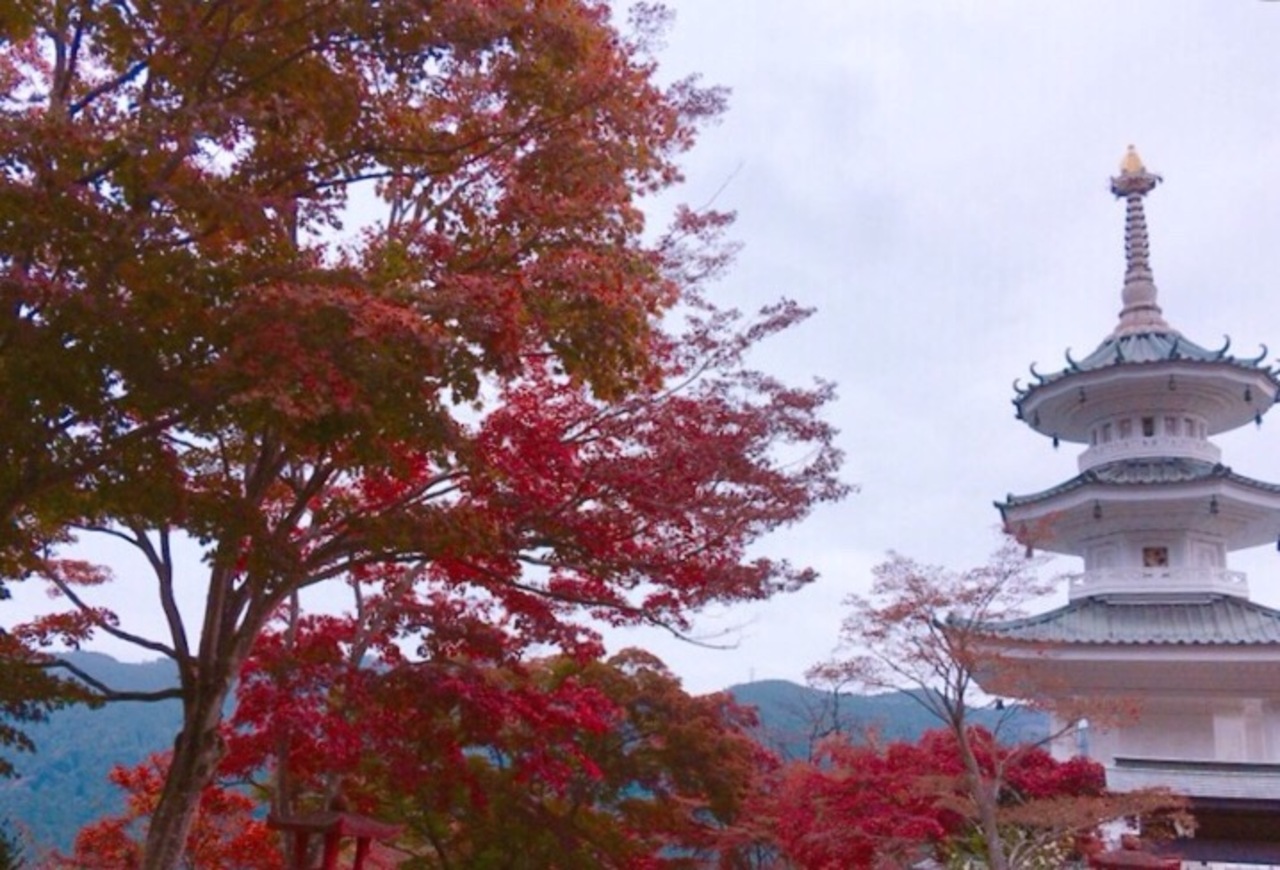 鳥居観音の紅葉とぽれぽれランチ 飯能 埼玉県 の旅行記 ブログ By Gizumin23さん フォートラベル