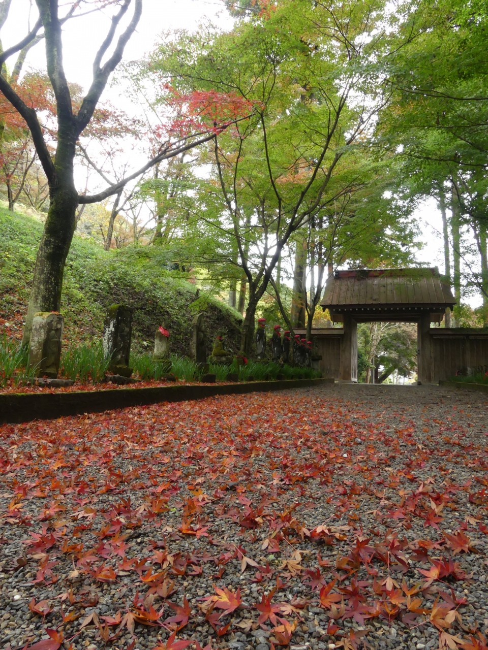 金蔵院聖法寺の紅葉 18 一部が色づき始めました 佐野市 仙波町 佐野 栃木県 の旅行記 ブログ By Minamicazeさん フォートラベル