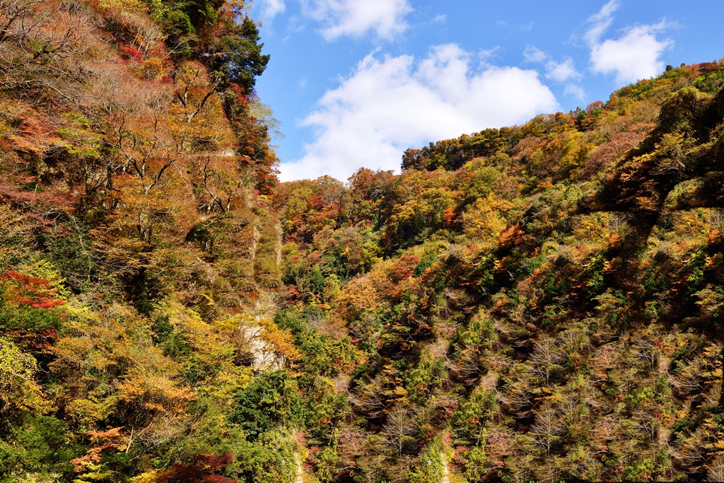九酔渓の紅葉 18 筋湯温泉 九重温泉郷 大分県 の旅行記 ブログ By 気まぐれなデジカメ館さん フォートラベル