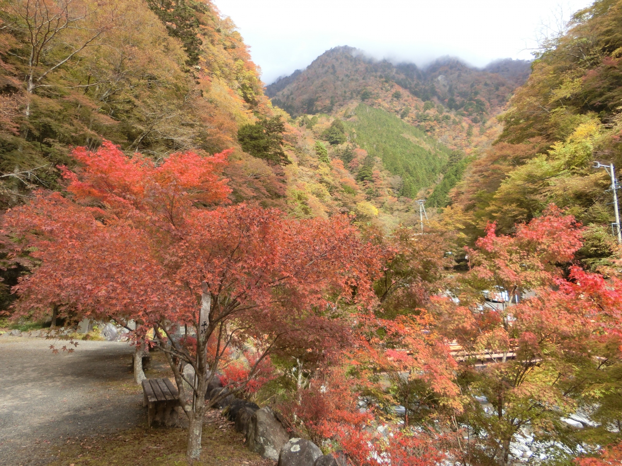 浜名湖へ その６ 帰りに梅ヶ島温泉に寄って紅葉を楽しみたかったのですが まだ少し早かったかな 静岡市 葵区 駿河区 静岡県 の旅行記 ブログ By Nichiさん フォートラベル