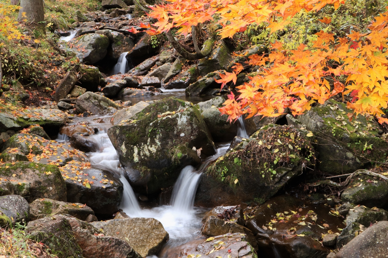 錦秋の宇津江四十八滝 期待以上の美しい紅葉と連続する滝の美しさに感動 飛騨高山 古川 岐阜県 の旅行記 ブログ By みちるさん フォートラベル