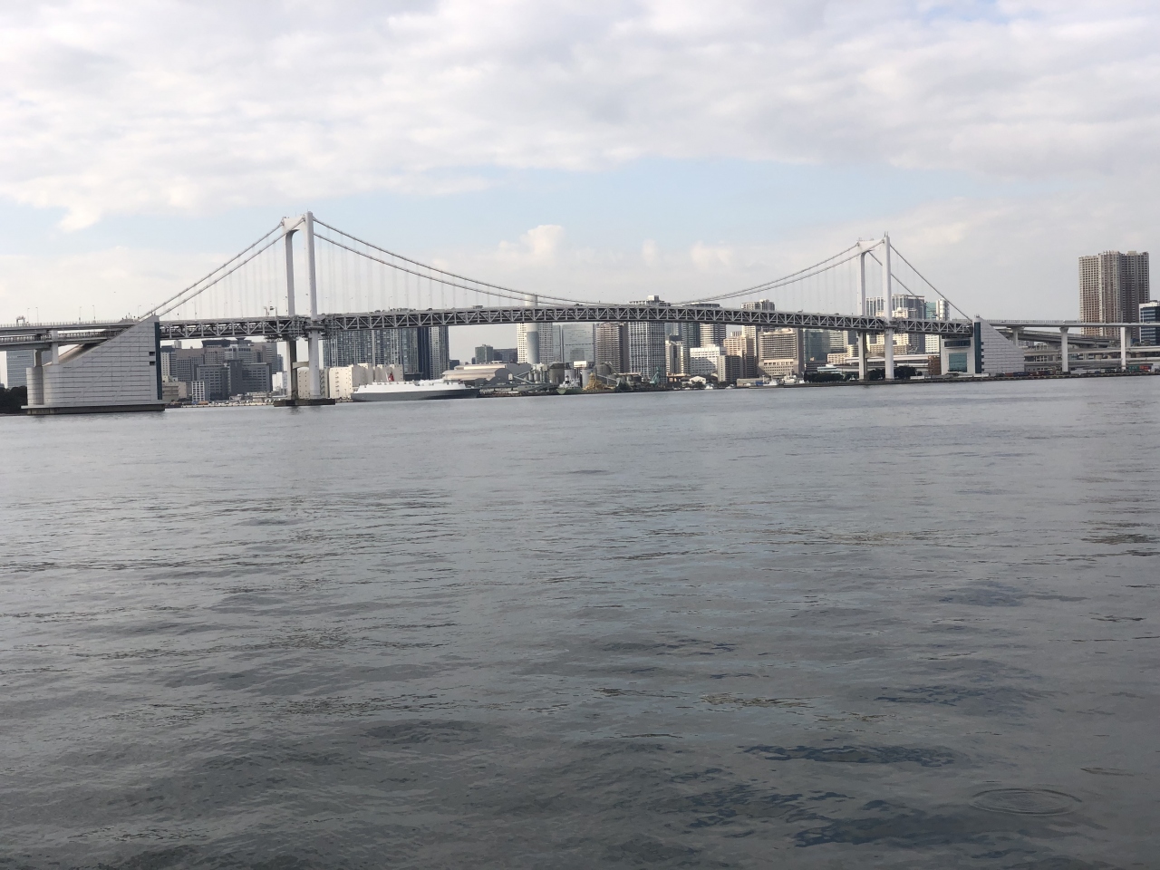 豊洲ぐるっと公園を散策 レインボーブリッジ 晴海ふ頭を眺めて 豊洲 東京 の旅行記 ブログ By どーもくんさん フォートラベル
