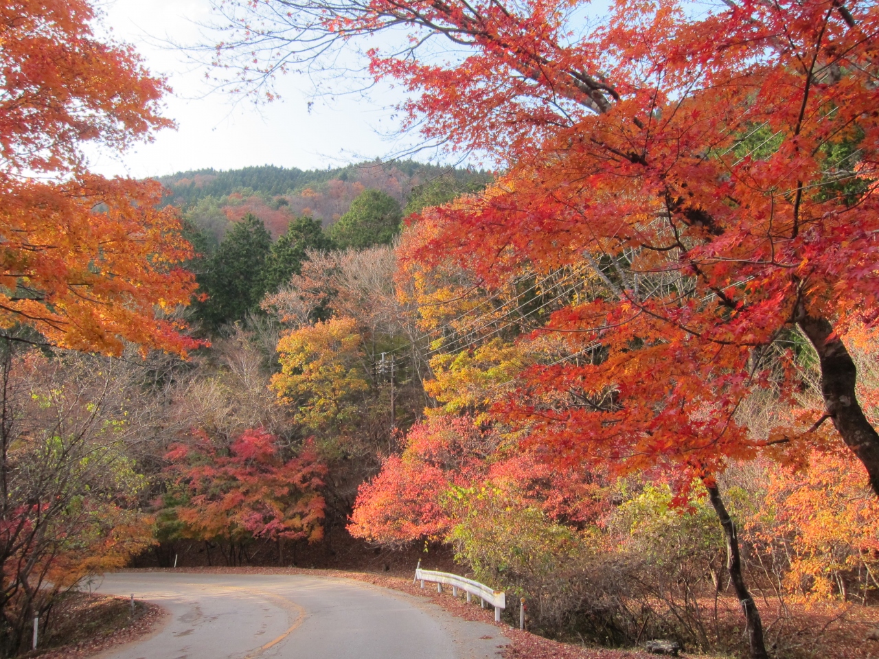 紅葉の龍王峡散策と もみじライン 日塩有料道路 と 日光の社寺ライトアップ 栃木県の旅行記 ブログ By もとさん フォートラベル