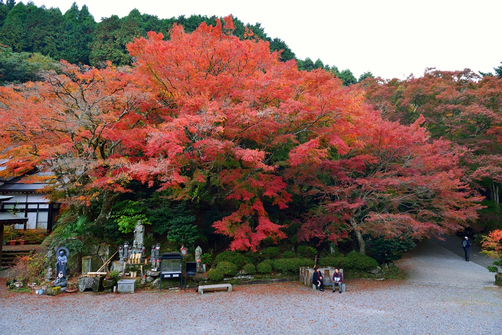 両子寺の紅葉 18 国東 くにさき 姫島 大分県 の旅行記 ブログ By 気まぐれなデジカメ館さん フォートラベル