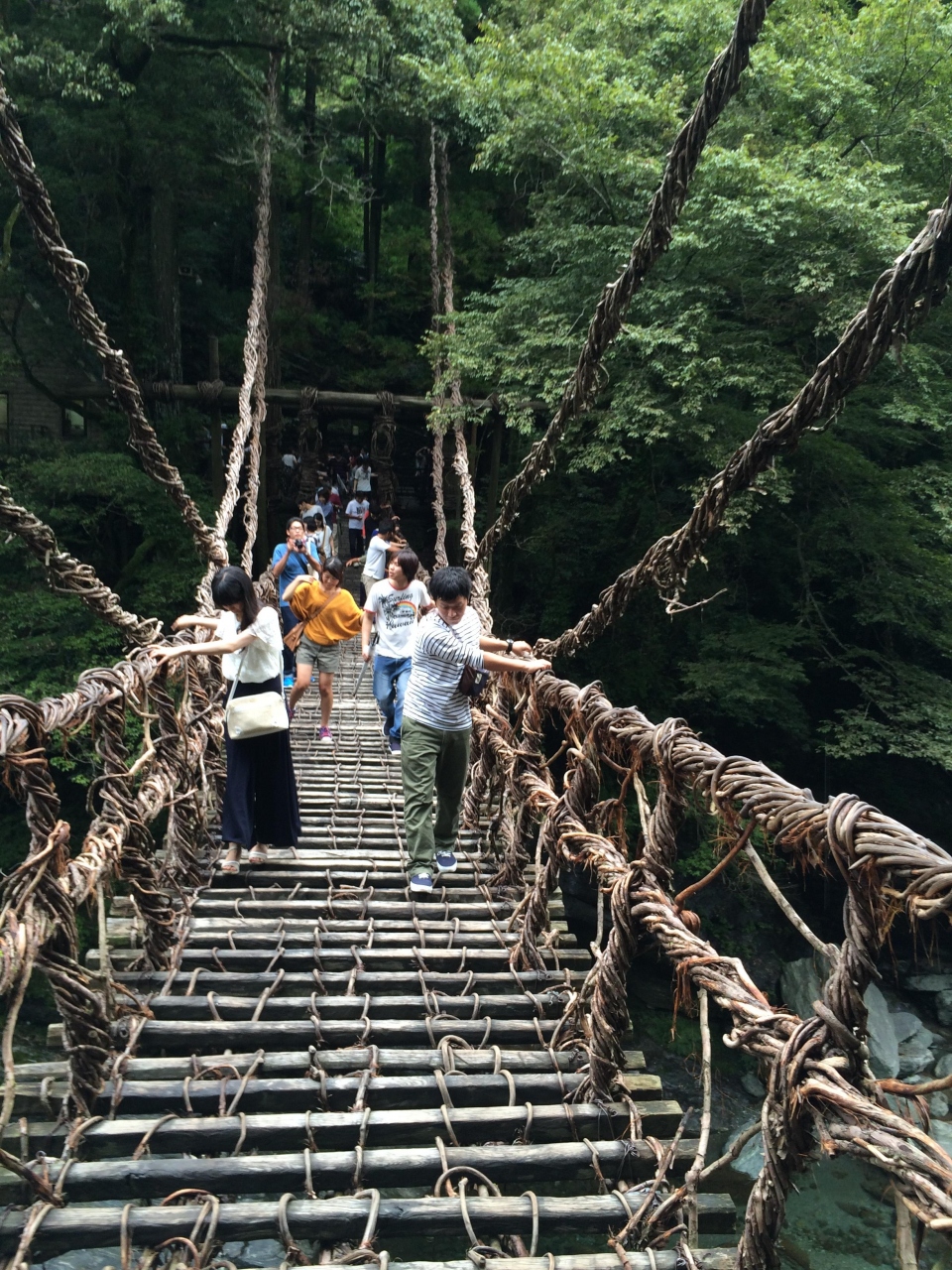 ４世代旅行 高知 徳島２泊３日 雨にも負けずの大満足旅 １日目 昼は祖谷のかずら橋渡りを楽しみ 夜は藁焼き鰹たたきに舌鼓 高知市 高知県 の旅行記 ブログ By あまちゃんさん フォートラベル