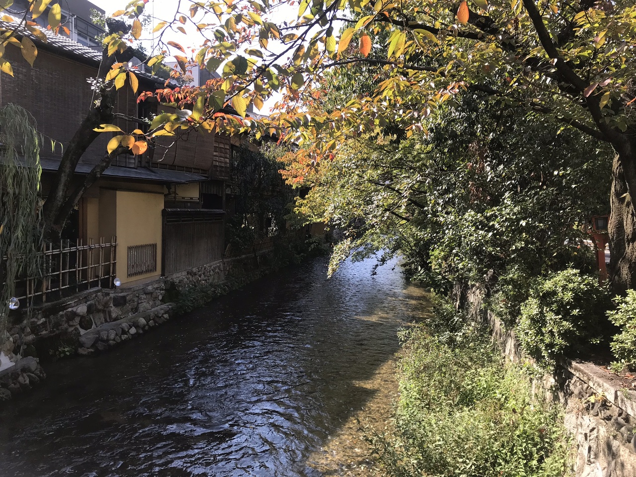 18 10 27その1 徒歩で河原町から八坂神社 ねねの道まで 東山 祇園 北白川 京都 の旅行記 ブログ By Rui Ktさん フォートラベル