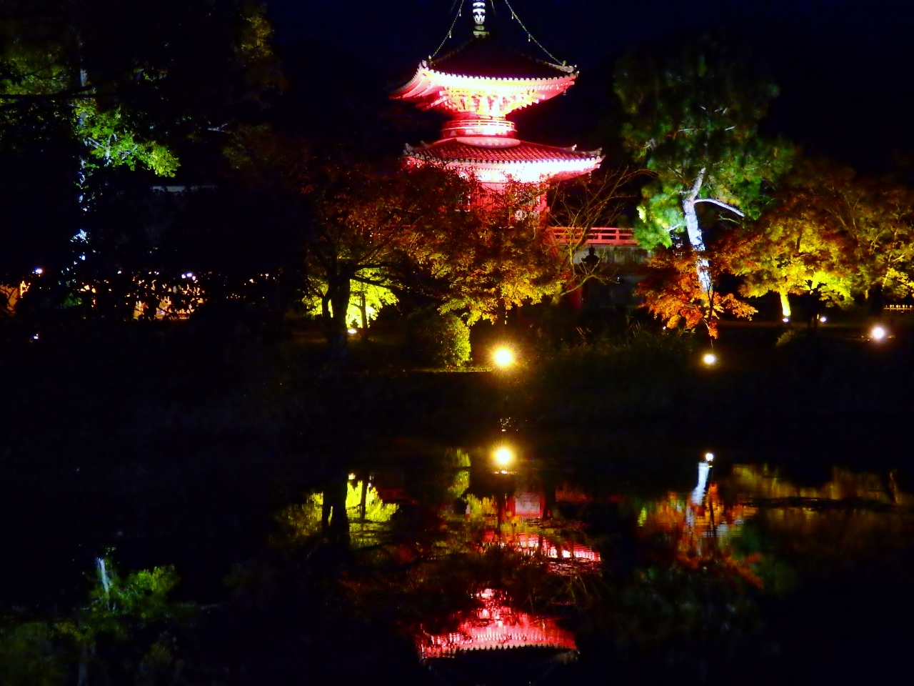 秋の夜長の大沢池 水鳥の羽音に振るえる水鏡 嵐山 嵯峨野 太秦 桂 京都 の旅行記 ブログ By Koumeさん フォートラベル