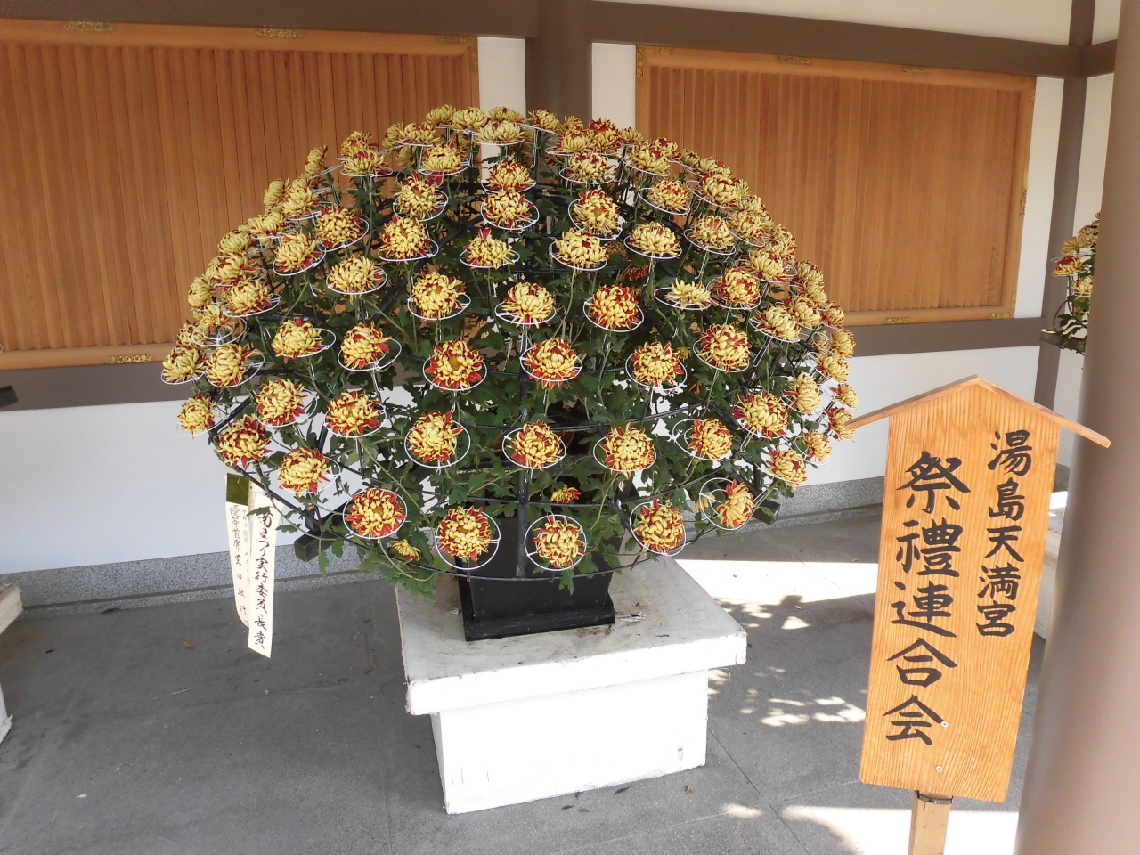 湯島天満宮 菊まつりに行ってきました 御茶ノ水 本郷 東京 の旅行記 ブログ By Anh Nguyet Chanさん フォートラベル