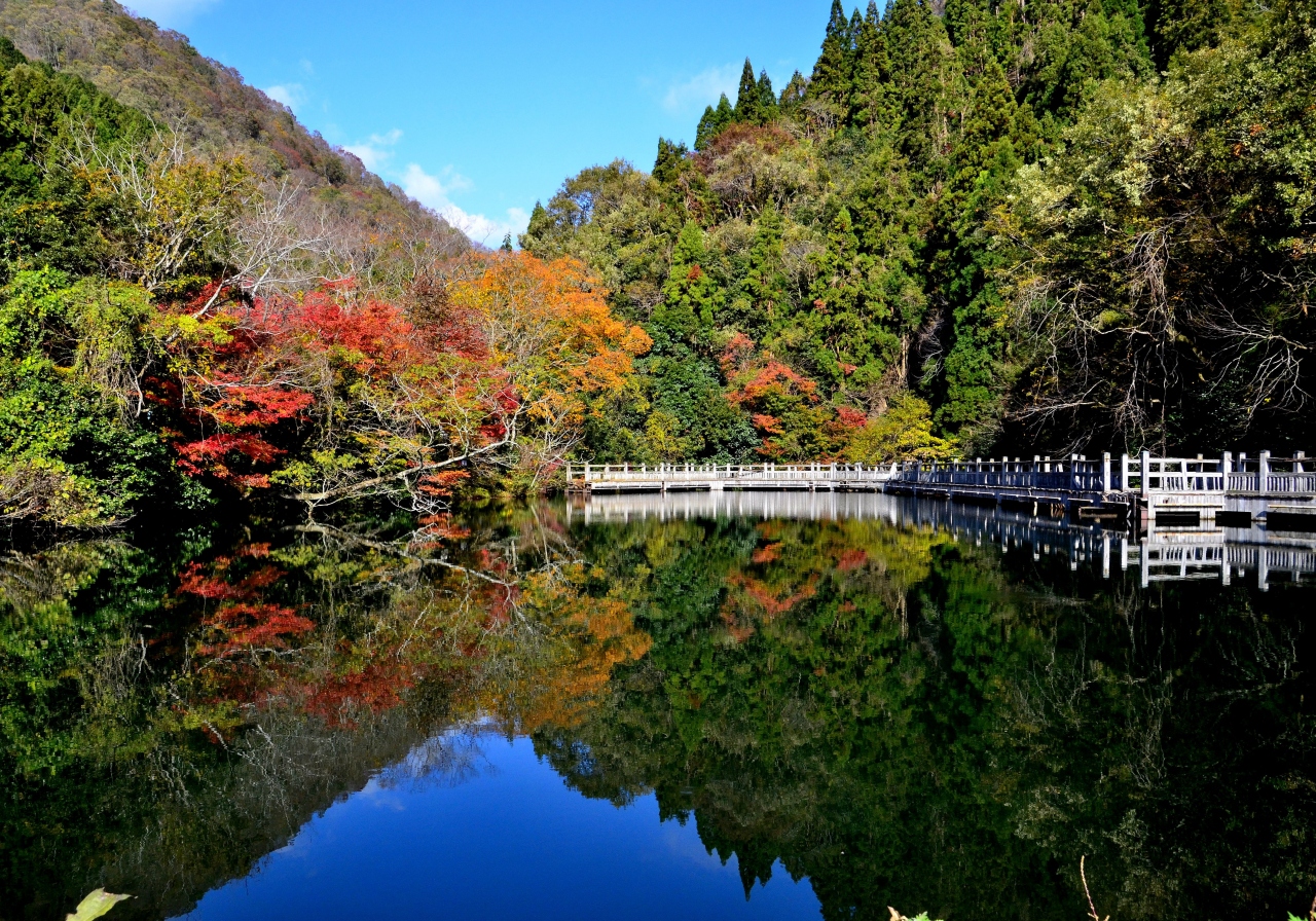 情緒纏綿 近江逍遥 もみじ池 メタセコイア並木 今津 滋賀県 の旅行記 ブログ By Montsaintmichelさん フォートラベル 情緒纏綿 近江逍遥 もみじ池 メタセコイア並木 今津 滋賀県 の旅行記 ブログ By Montsaintmichelさん フォートラベル