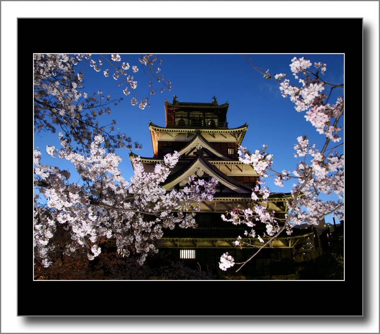 Solitary Journey 春景色特別編 広島カープの語源となった鯉城のお堀に美しく咲く満開の桜 ライトアップされた広島城と桜 広島県広島市 広島 市 広島県 の旅行記 ブログ By Mechagodzilla 703さん フォートラベル Solitary Journey 春景色特別編 広島カープの語源となった鯉城のお堀に美しく咲く満開の桜 ライトアップされた広島城と桜 広島県広島市 広島 市 広島県 の旅行記 ブログ By Mechagodzilla 703さん フォートラベル