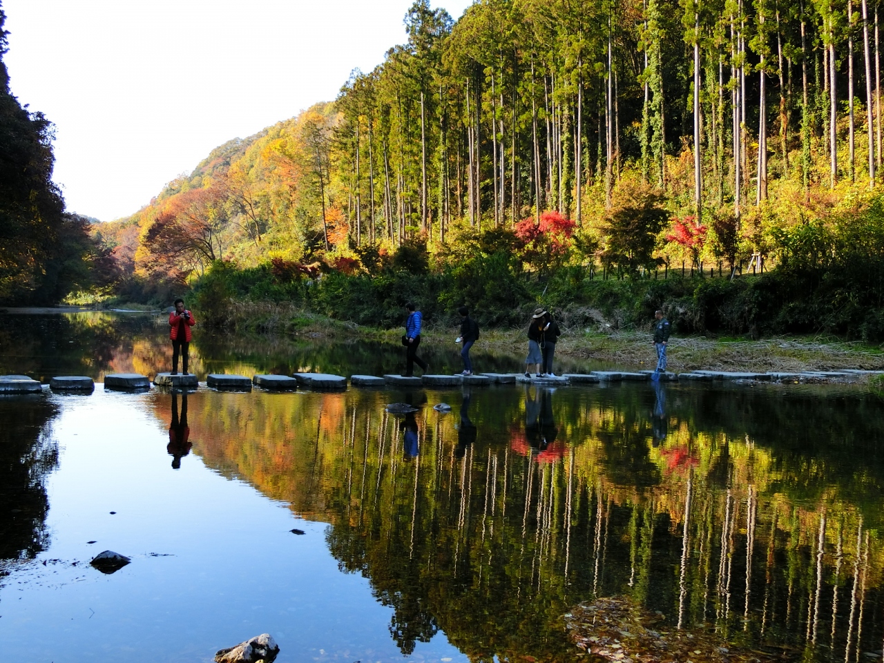 嵐山渓谷 紅葉まつり 小川 嵐山 埼玉県 の旅行記 ブログ By まーがりんさん フォートラベル