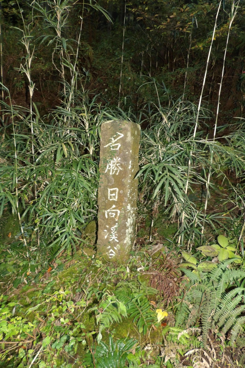 日向渓谷 伊勢原 神奈川県 の旅行記 ブログ By ドクターキムルさん フォートラベル