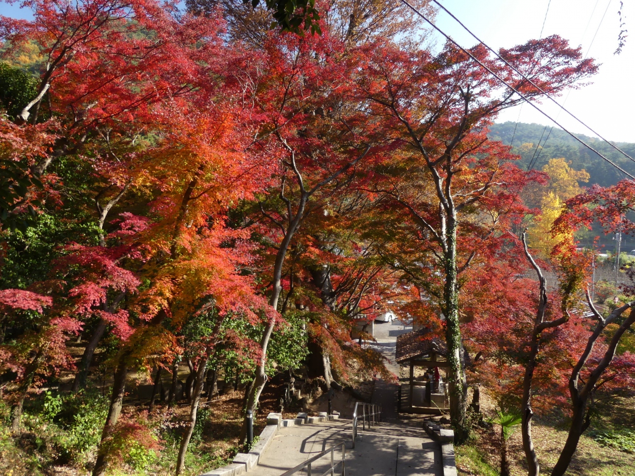 金龍寺の紅葉 18 2 見頃が始まりました 群馬県 太田市 太田 群馬県 の旅行記 ブログ By Minamicazeさん フォートラベル 金龍寺の紅葉 18 2 見頃が始まりました 群馬県 太田市 太田 群馬県 の旅行記 ブログ By Minamicazeさん フォートラベル