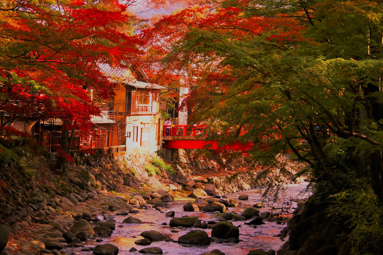 伊豆 修善寺 紅葉散歩 修善寺温泉 静岡県 の旅行記 ブログ By ヒゲハゲさん フォートラベル 伊豆 修善寺 紅葉散歩 修善寺温泉 静岡県 の旅行記 ブログ By ヒゲハゲさん フォートラベル