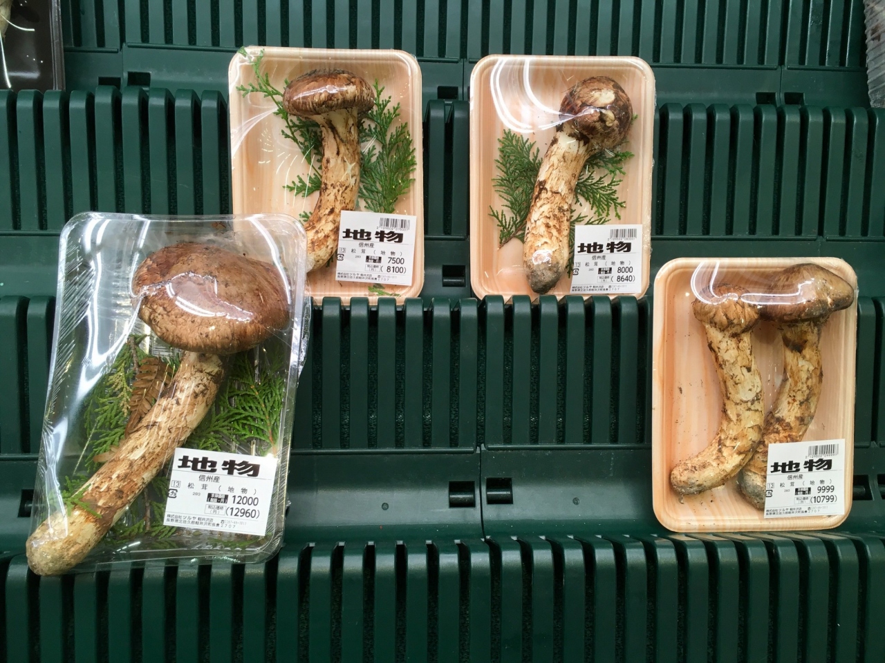 信州 松茸