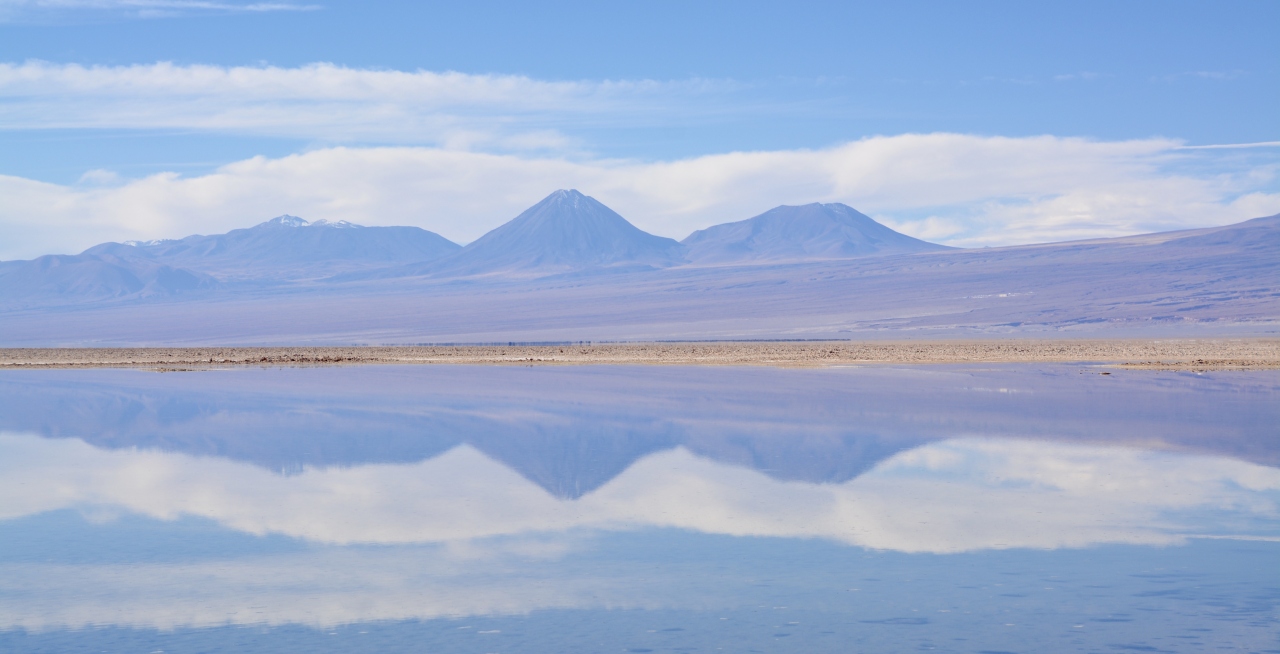 アンデス山脈を越えて 世界最高峰4000m超 天空の砂漠 アタカマ砂漠 で美しい光景と 薄い空気に くらくらでへろへろになる旅 14 アタカマ塩湖 やっと出会えたフラミンゴ サンペドロ デ アタカマ San Pedro De Atacama チリ サン ペドロ デ
