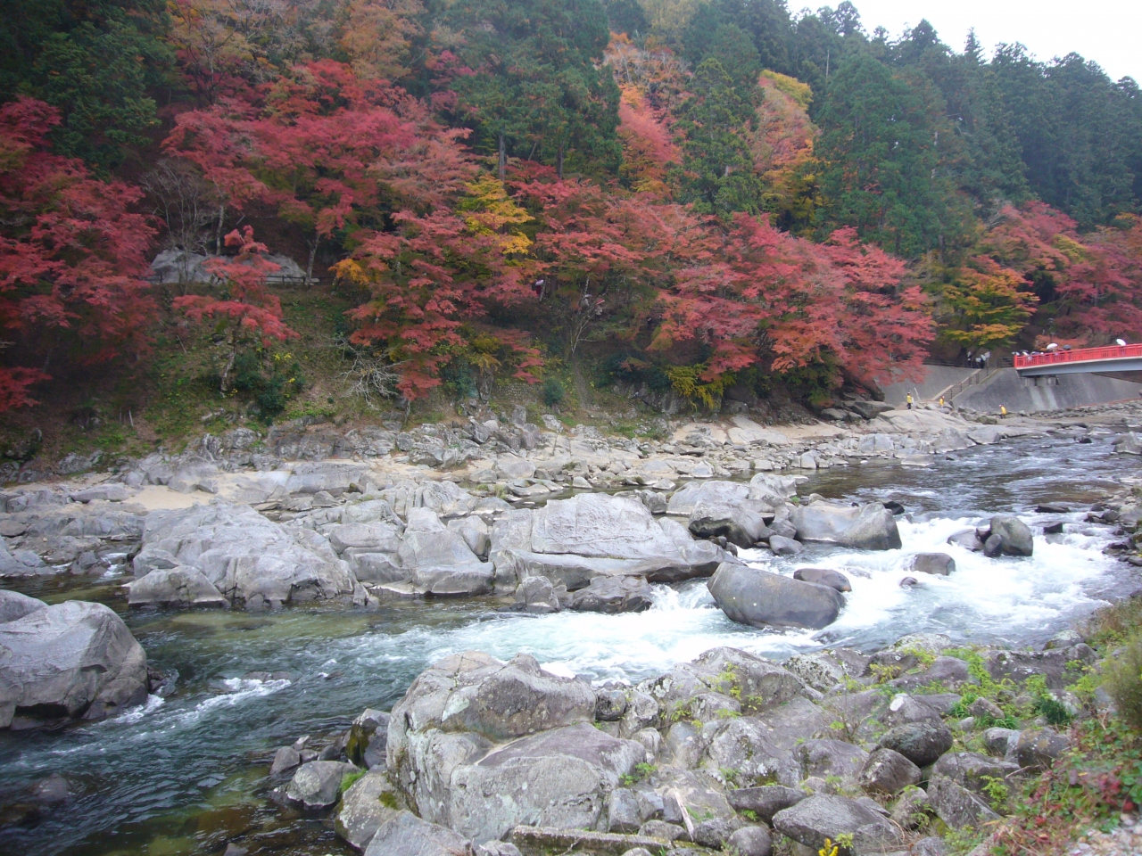 紅葉と絶景を求めて 犬山城 恵那峡 香嵐渓 伊良湖 知多 愛知県の旅行記 ブログ By Naonaoさん フォートラベル 紅葉と絶景を求めて 犬山城 恵那峡 香嵐渓 伊良湖 知多 愛知県の旅行記 ブログ By Naonaoさん フォートラベル