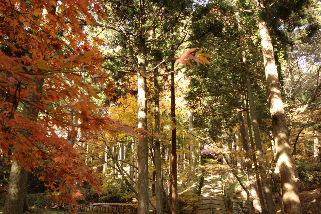 滋賀の紅葉 金勝山 金勝寺 桑実寺 教林坊 日吉大社 栗東 滋賀県 の旅行記 ブログ By とある和菓子好きさん フォートラベル 滋賀の紅葉 金勝山 金勝寺 桑実寺 教林坊 日吉大社 栗東 滋賀県 の旅行記 ブログ By とある和菓子好きさん フォートラベル