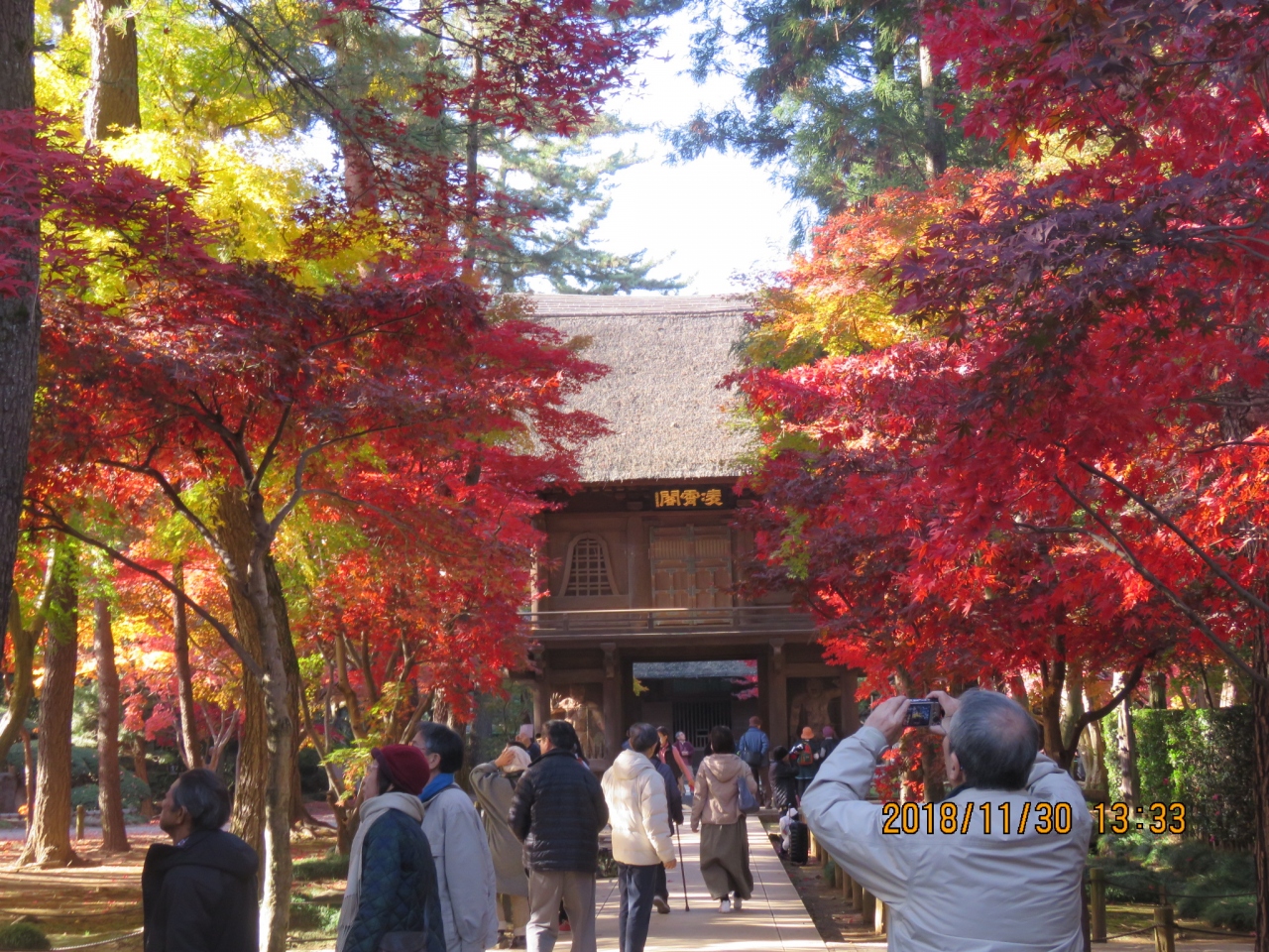 紅葉の平林寺を訪問しました 総門より平林寺堀まで 新座 朝霞 和光 志木 埼玉県 の旅行記 ブログ By Tsunetaさん フォートラベル