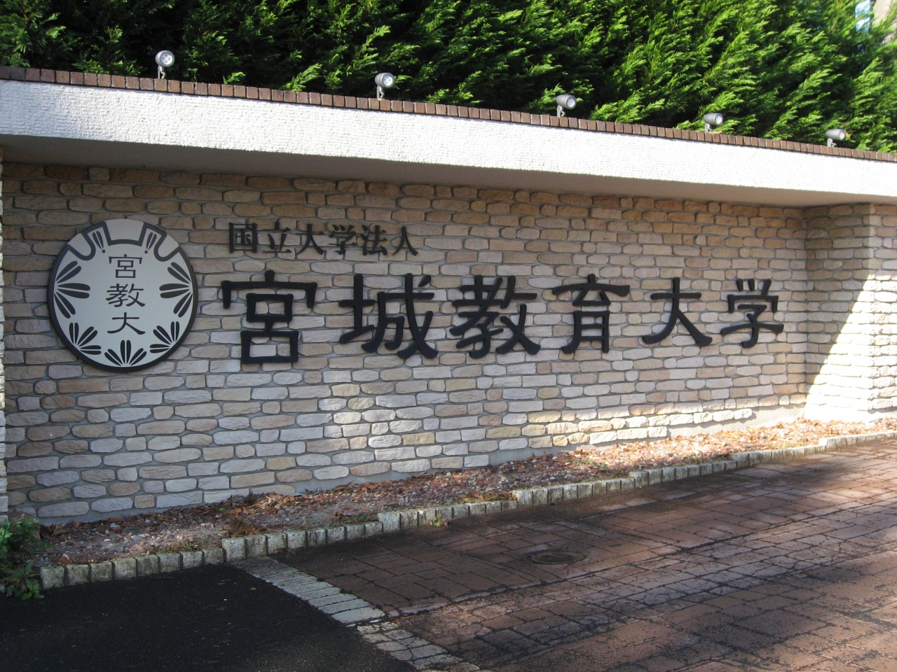 大学 宮城 教育