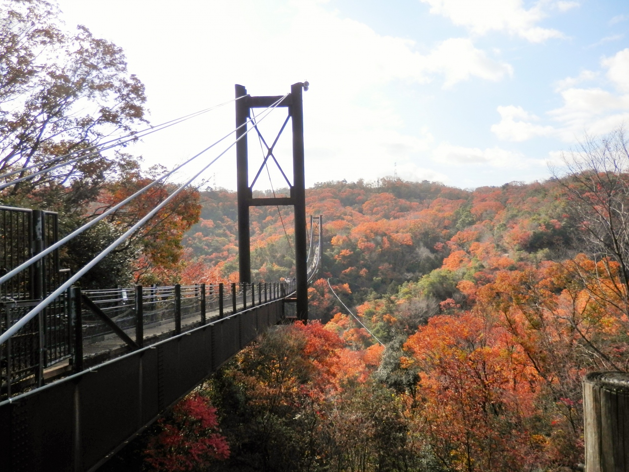 紅葉の 星のブランコ ハイキング 寝屋川 枚方 交野 大阪 の旅行記 ブログ By Rokoさん フォートラベル