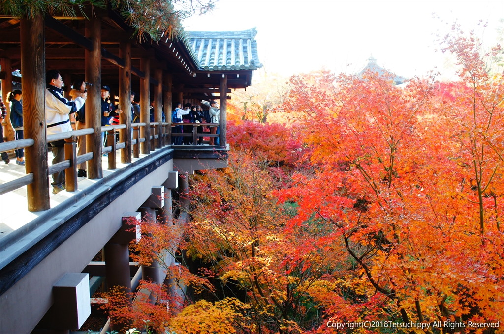 18東福寺の紅葉狩り 東山 祇園 北白川 京都 の旅行記 ブログ By さるひこさん フォートラベル