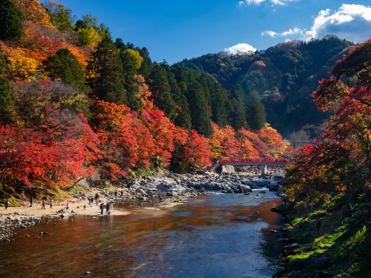 日帰り紅葉旅 小國神社 香嵐渓 小原の四季桜 香嵐渓 白鷺温泉 笹戸温泉 愛知県 の旅行記 ブログ By なっちゃんさん フォートラベル