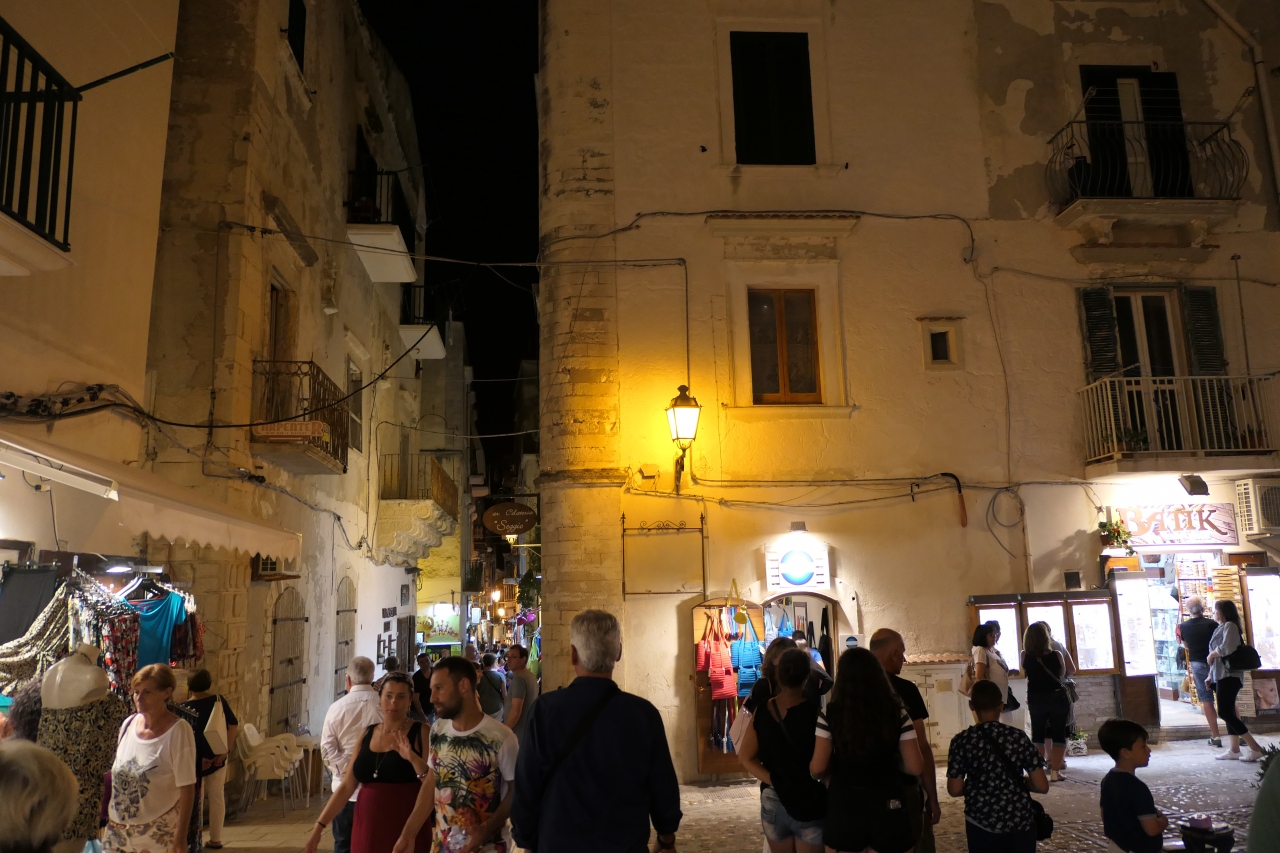 『美しき南イタリア旅行♪ Vol.685(第22日)☆夜景の美しいビエステ旧市街♪』ビエステ(イタリア)の旅行記・ブログ by コトルさん