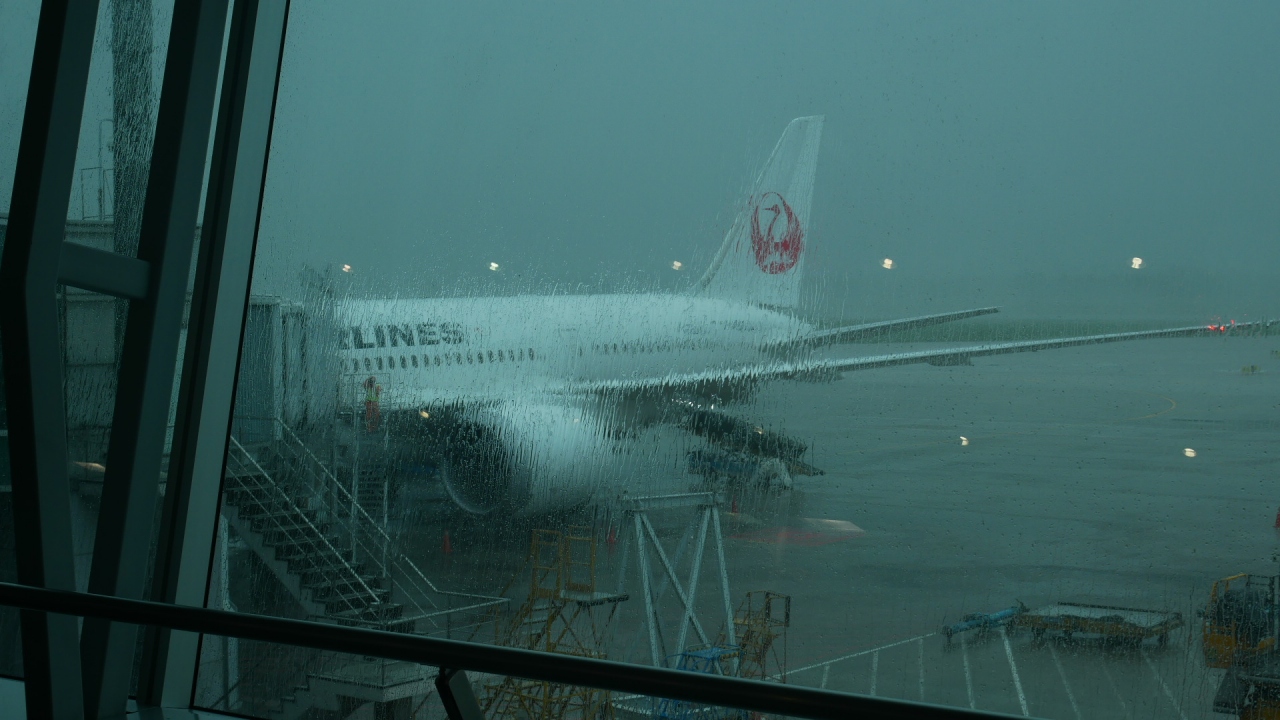 Jalホーチミン搭乗記18 11 Hnd Sgn Nrt Yエコノミー Jmbダイヤ確定にホーチミン 復路は台風29号の影響で5時間以上の遅延 ホーチミン ベトナム の旅行記 ブログ By Kazu Aさん フォートラベル