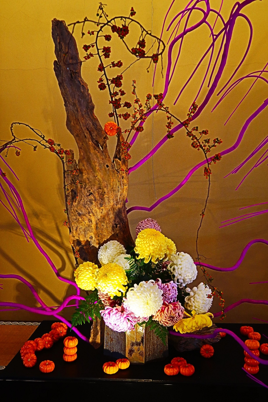 笠間 5 華道家 假屋崎省吾の世界展b 床の間を飾る 大輪菊 古木の造形 笠間 茨城県 の旅行記 ブログ By マキタン2さん フォートラベル