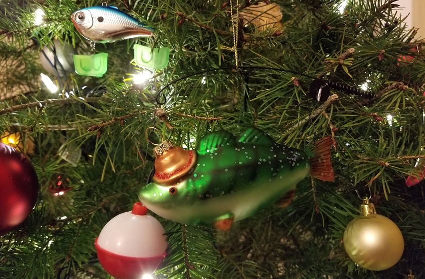 自分でクリスマスツリーを切りに行く サンフランシスコ郊外 カリフォルニア Cut Your Own Christmas Tree In Half Moon Bay California サンフランシスコ アメリカ の旅行記 ブログ By Kanataさん フォートラベル