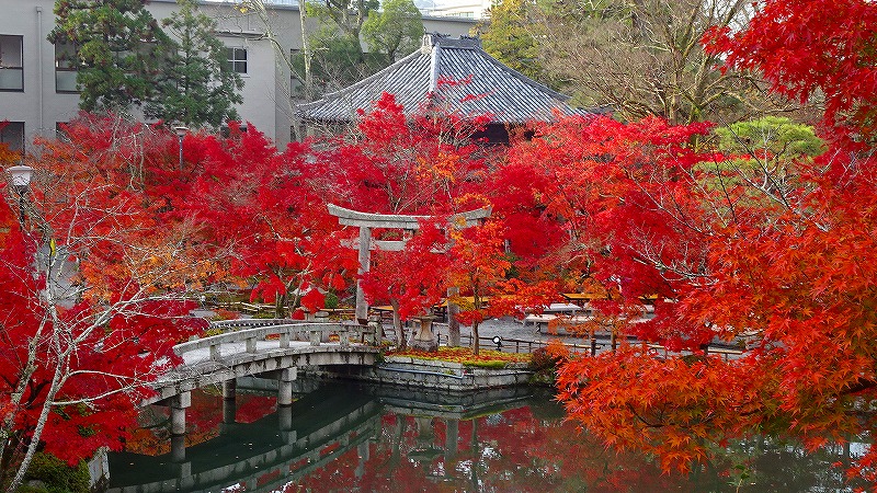 京都市 禅林寺 永観堂 の紅葉 その１ 下鴨 宝ヶ池 平安神宮 京都 の旅行記 ブログ By Hn11さん フォートラベル