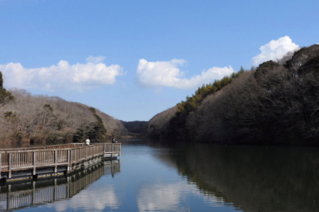水郷県民の森でバードウォッチング 17 3 潮来 茨城県 の旅行記 ブログ By 潮来メジロさん フォートラベル