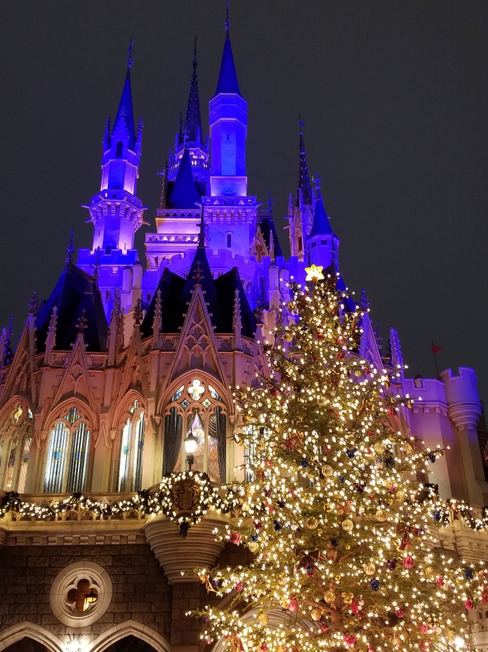 千葉 2018 冬 スターライトでディズニーランド 東京ディズニーリゾート 千葉県 の旅行記 ブログ By リッパーさん フォートラベル