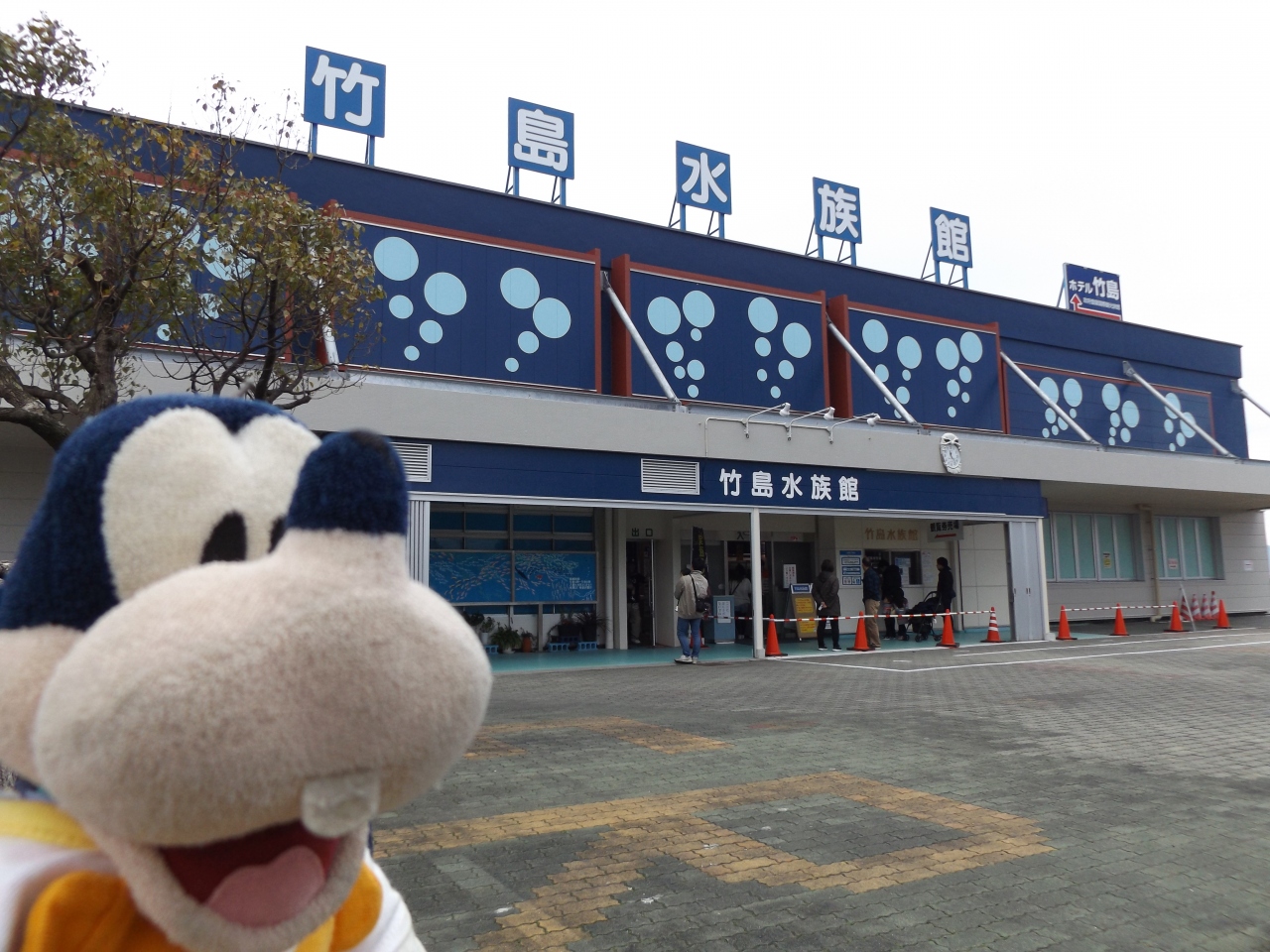 グーちゃん 蒲郡へ行く 激レアさんの竹島水族館に行ってみた 編 蒲郡 愛知県 の旅行記 ブログ By グーちゃんさん フォートラベル グーちゃん 蒲郡へ行く 激レアさんの竹島水族館に行ってみた 編 蒲郡 愛知県 の旅行記 ブログ By グーちゃんさん フォートラベル