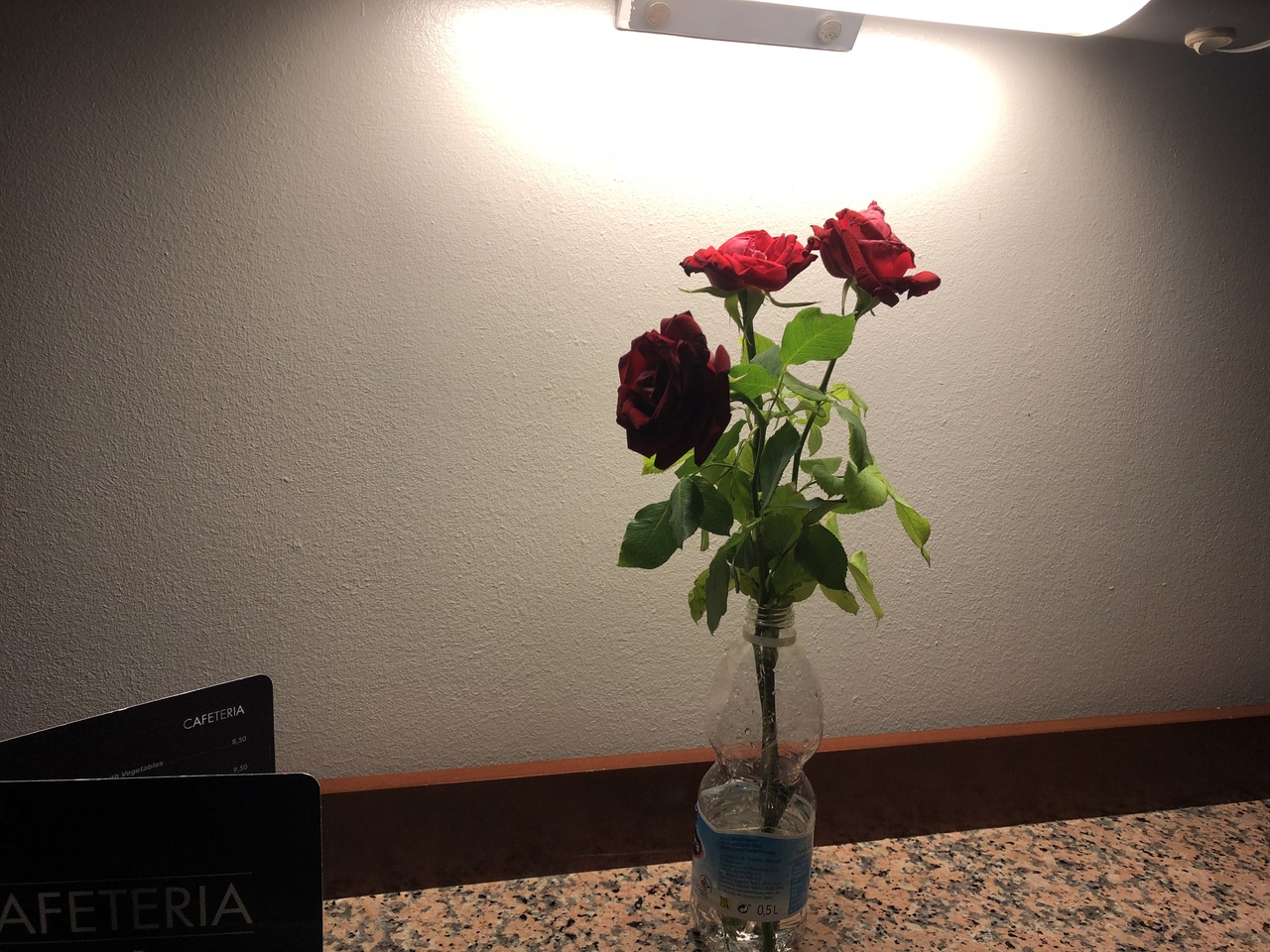 海外初心者 スペインに行ってみる 3日目 初心者vsバルセロネータの花売り バルセロナ スペイン の旅行記 ブログ By すー65さん フォートラベル