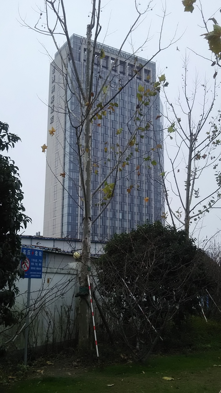 年末年始 ほぼ ぼっち の上海 周りに何にもない インターコンチネンタル上海エクスポ宿泊を満喫する件 上海 中国 の旅行記 ブログ By 人間キャットさん フォートラベル