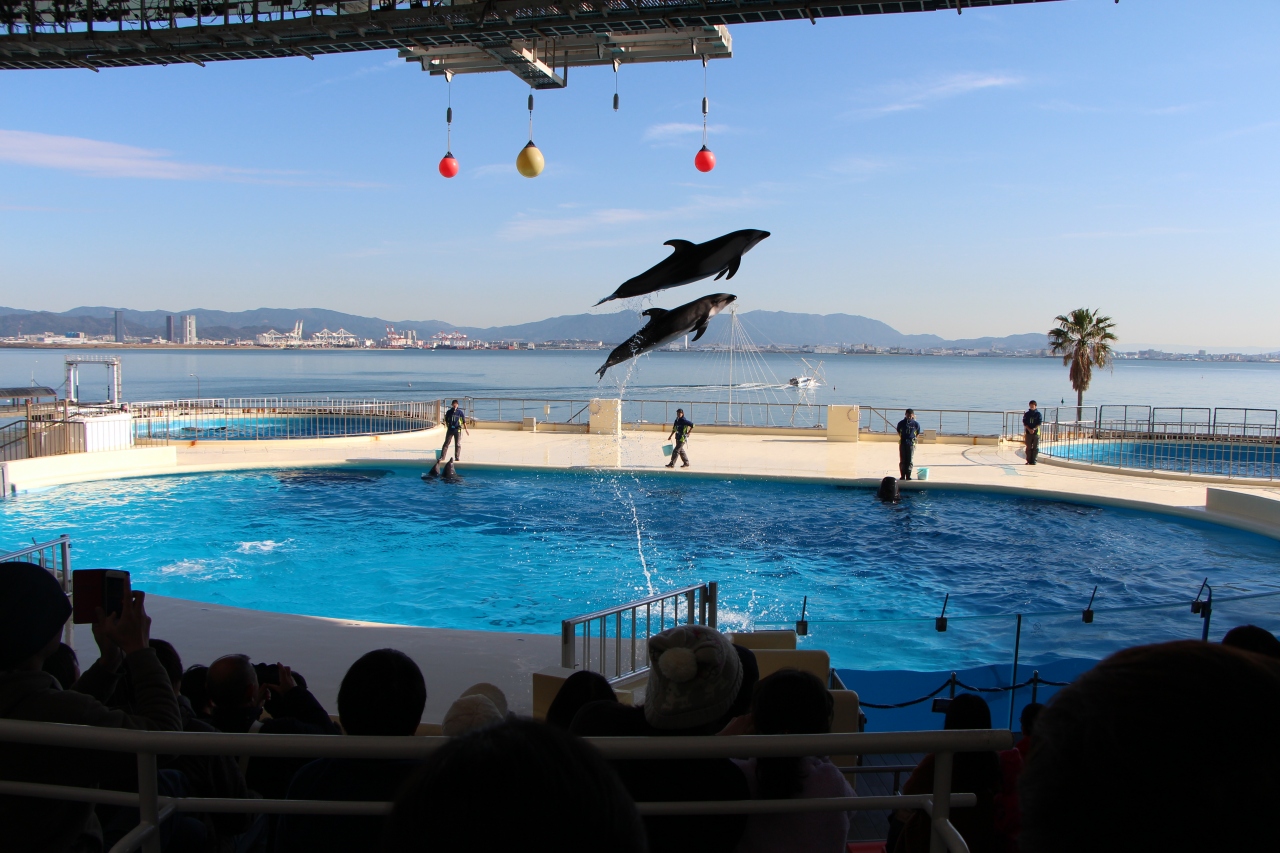 18福岡 ハウステンボス3泊4日の旅 4日目水族館マリンワールド海の中道 博多 福岡県 の旅行記 ブログ By コナミズキさん フォートラベル