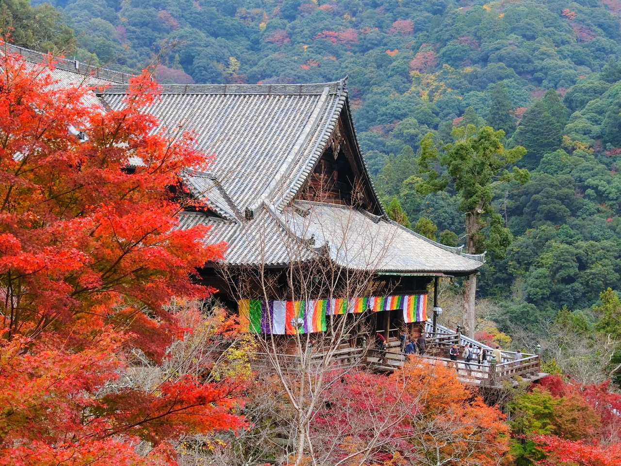 18年 奈良 紅葉の名所めぐり 長谷寺と春日大社 奈良県の旅行記 ブログ By Eiさん フォートラベル