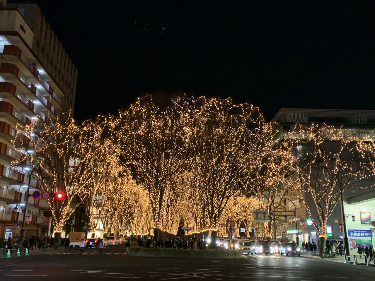 1812 03 仙台市内観光 Sightseeing In Sendai Miyagi 仙台 宮城県 の旅行記 ブログ By Maikonさん フォートラベル 1812 03 仙台市内観光 Sightseeing In Sendai Miyagi 仙台 宮城県 の旅行記 ブログ By Maikonさん フォートラベル