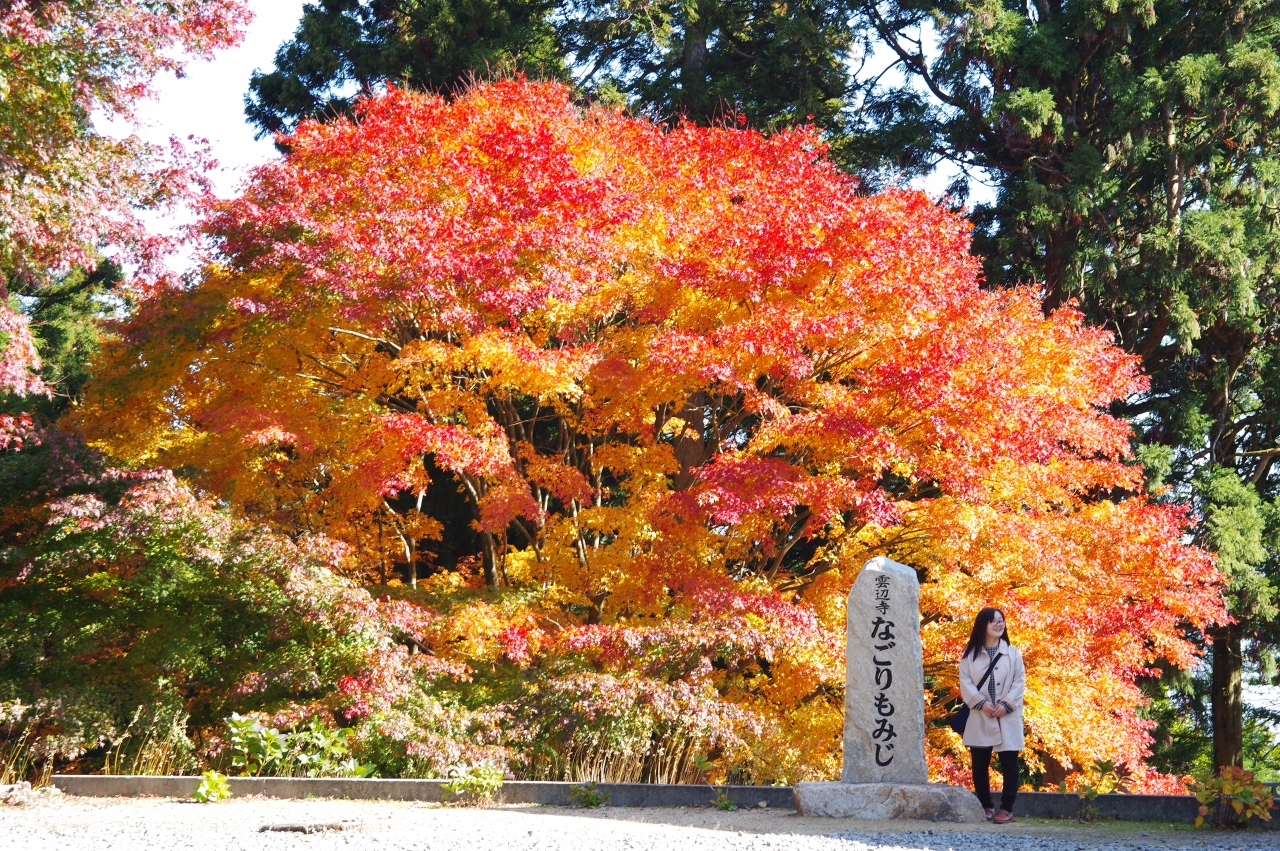 雲辺寺の紅葉 阿波池田 つるぎ 徳島県 の旅行記 ブログ By 史跡巡り好きです さん フォートラベル