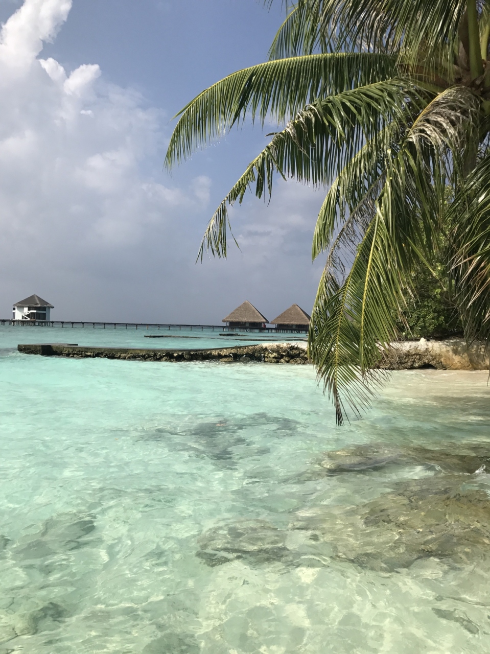 年末年始モルディブローカル島2島巡る旅 南マーレ環礁 モルディブ の旅行記 ブログ By セレッソ大阪さん フォートラベル 年末年始モルディブローカル島2島巡る旅 南マーレ環礁 モルディブ の旅行記 ブログ By セレッソ大阪さん フォートラベル