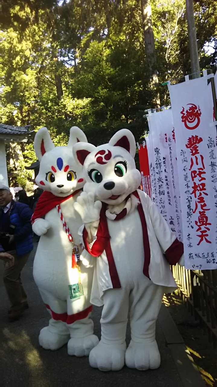 豊川稲荷でかわいーいゆるキャラに出会ったよーでも 名前がわからないの 豊川 愛知県 の旅行記 ブログ By Tyatyaさん フォートラベル