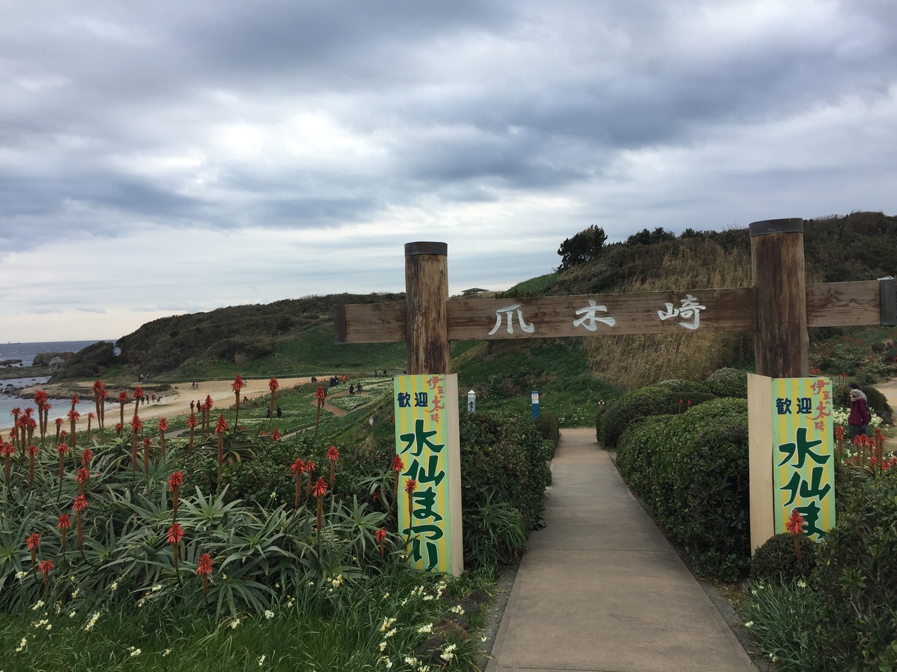 爪木崎の水仙まつりに 下田 静岡県 の旅行記 ブログ By ひたちふづきさん フォートラベル