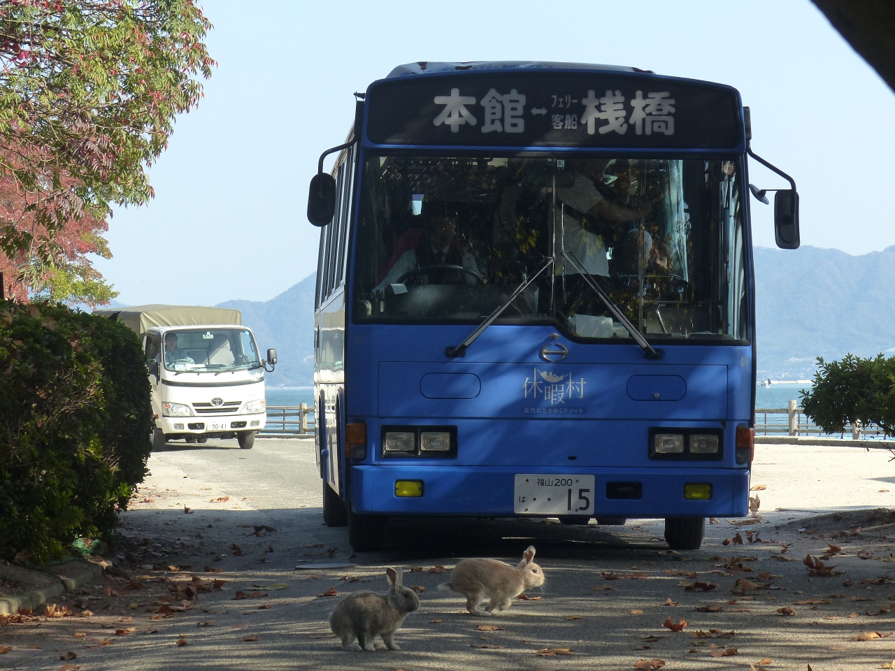 ウサギと毒ガスの大久野島 竹原市内 竹原 広島県 の旅行記 ブログ By ポゾさん フォートラベル
