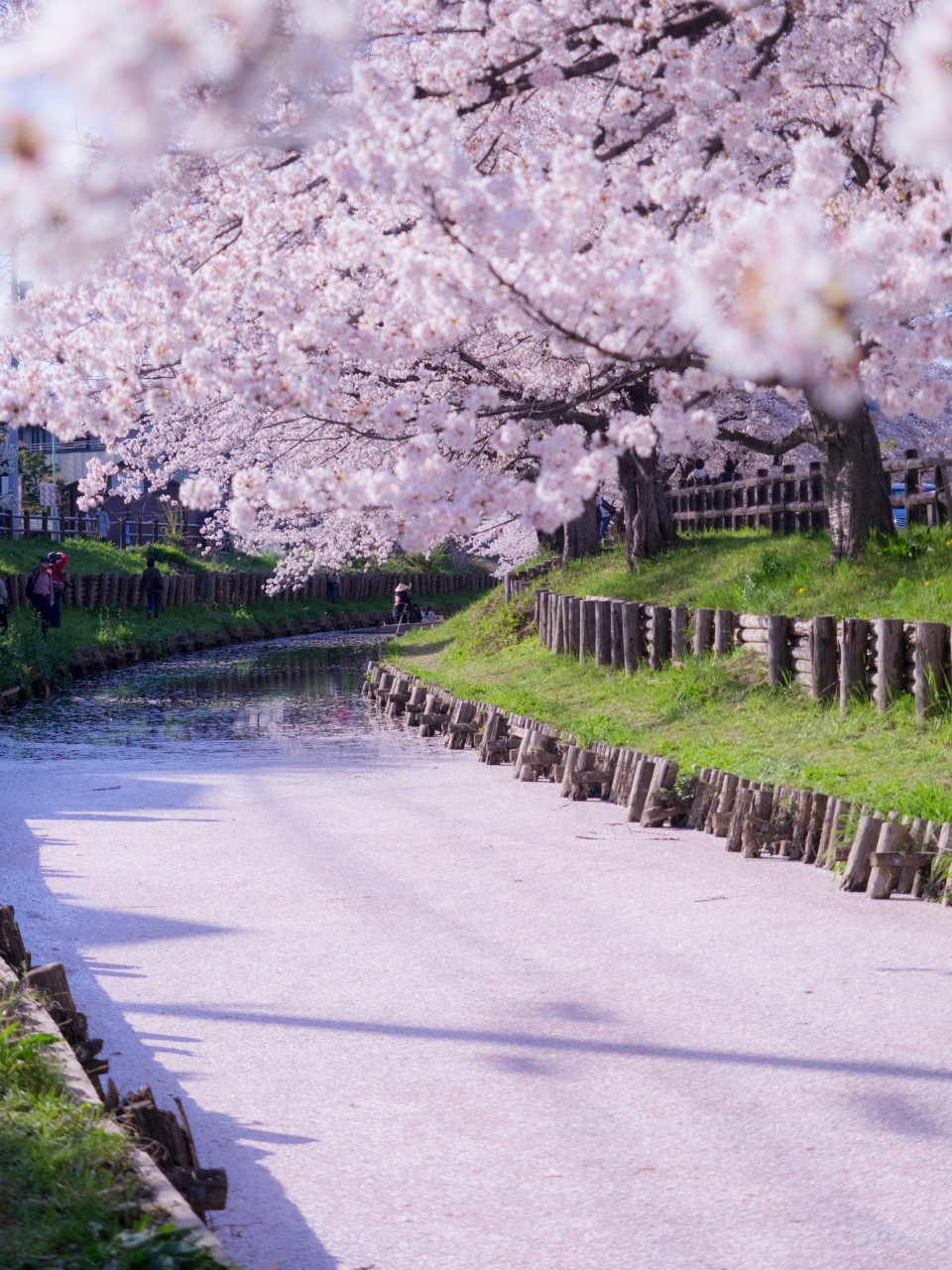 春の舟遊び 川越 川越 埼玉県 の旅行記 ブログ By Phoooooosanさん フォートラベル 春の舟遊び 川越 川越 埼玉県 の旅行記 ブログ By Phoooooosanさん フォートラベル