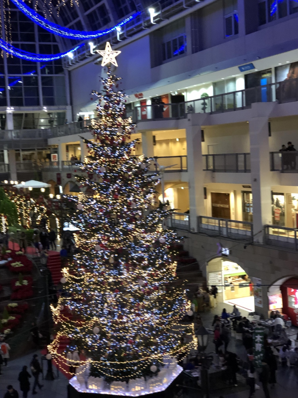 札幌食べ歩き記 フラメンコ教室クリスマスパーティホテルロイトン札幌すすきの打ち上げ すすきのドラドリゾート 札幌 北海道 の旅行記 ブログ By Cacahさん フォートラベル 札幌食べ歩き記 フラメンコ教室クリスマスパーティホテルロイトン札幌すすきの打ち上げ すすきのドラドリゾート 札幌 北海道 の旅行記 ブログ By Cacahさん フォートラベル