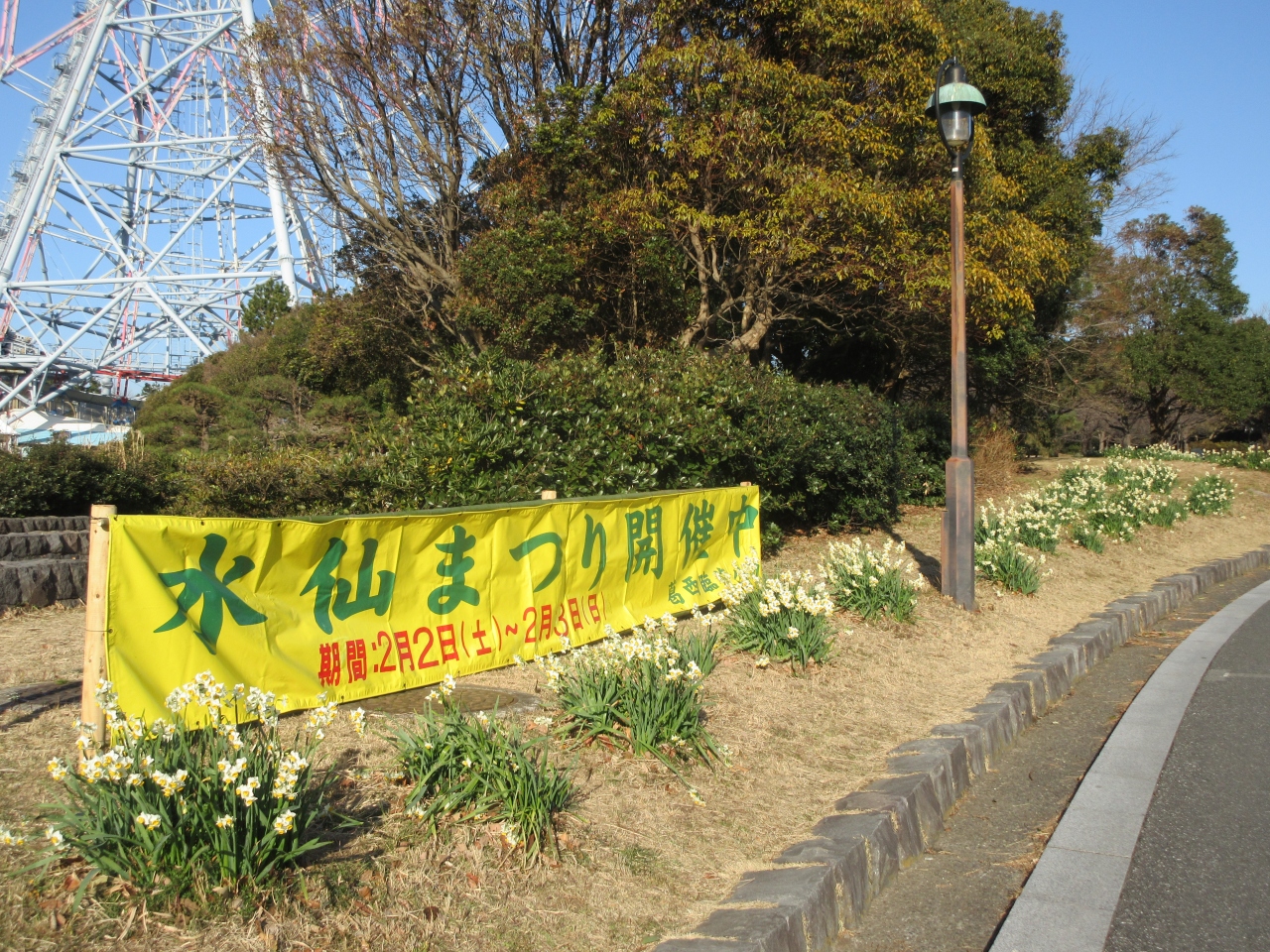 葛西臨海公園 水仙まつりに行ってきました 葛西 東京 の旅行記 ブログ By ぷーちゃんさん フォートラベル