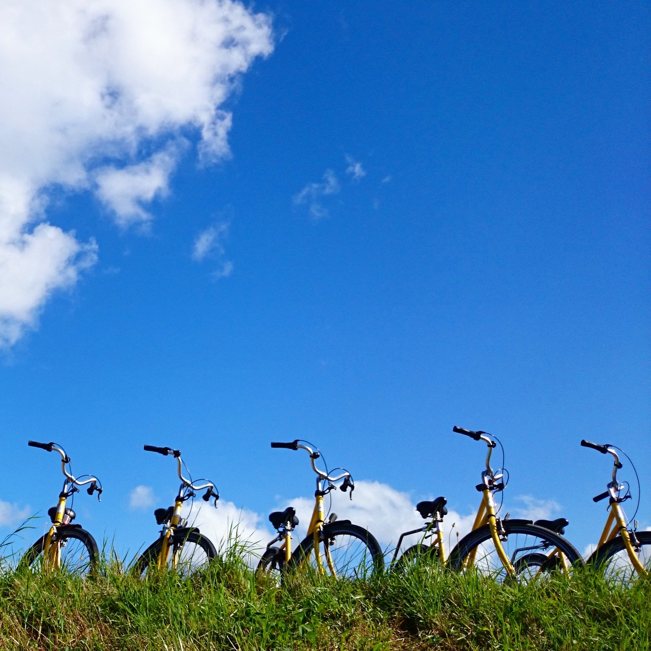 黄色い 自転車
