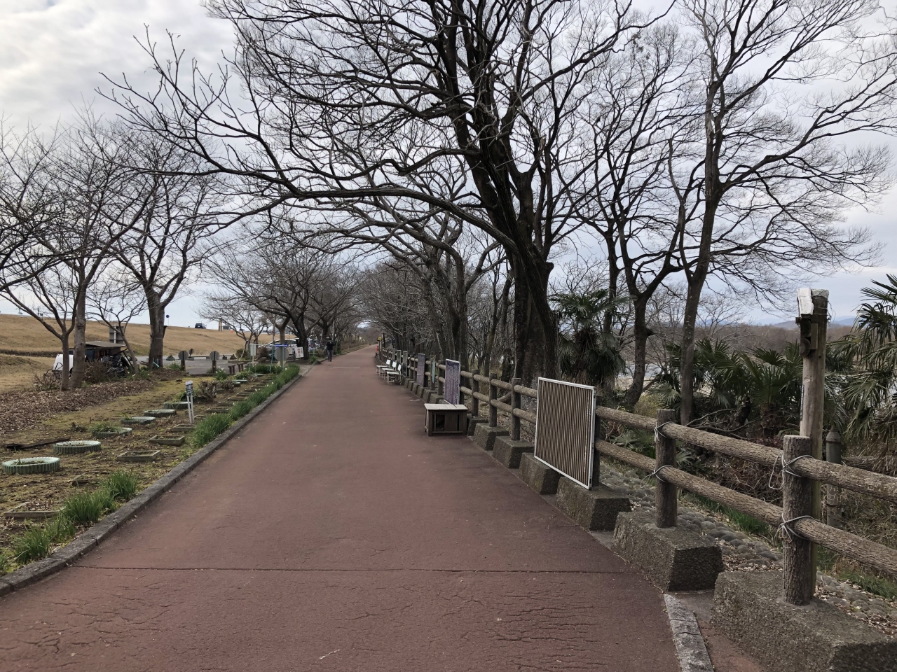 19年02月 冬枯れの扶桑緑地公園を歩いた 犬山 愛知県 の旅行記 ブログ By カブト虫さん フォートラベル